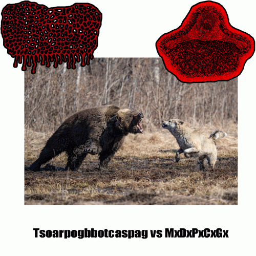 The Sounds Of A Really Pissed Off Grizzly Bear Banging On Trash Cans And Shouting Profanities At God : TSOARPOGBBOTCASPAG Vs MxDxPxCxG